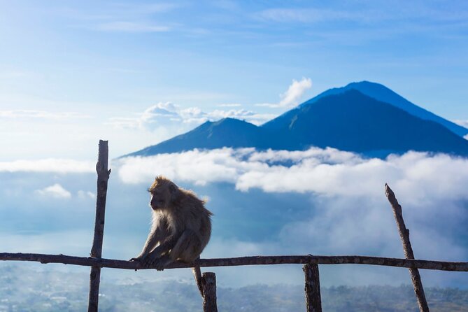 Private Mount Batur Sunrise Trekking Tour - Improvement Opportunities