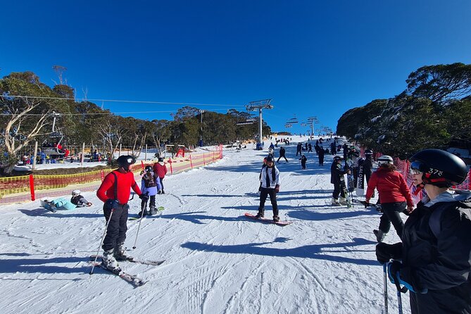 Private Mount Buller Snow and Ski Tour From Melbourne - Common questions