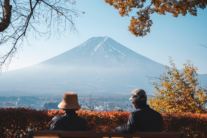 Private Mt Fuji, Hakone and Tokyo Tour-English Speaking Chauffeur - Cancellation Policy