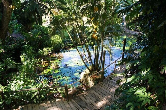 Private Mud Pool and Sleeping Giant Garden Tour - Activities at Sabeto Hot Springs