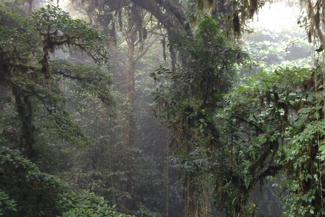 Private Natural History Walk by Pasión Costa Rica - Additional Tips