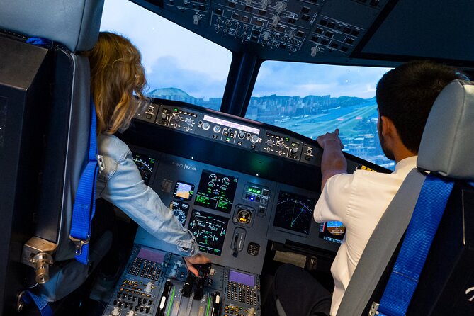 Private Pilotage of a Flight Simulator in Paris - Reviews and Ratings