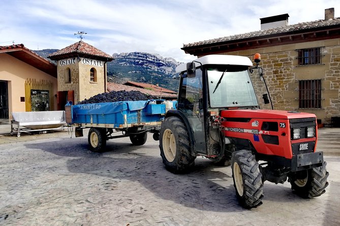 Private Rioja Wine Tasting and Lunch Tour From San Sebastián  - San Sebastian - Operations and Logistics