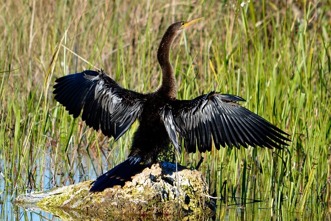 Private River Of Grass Everglades Airboat Adventure - Logistics and Accessibility