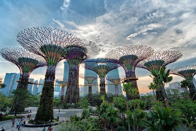 Private Singapore Night Tour With Gardens by the Bay,Trishaw Ride & River Cruise - Pricing and Inclusions