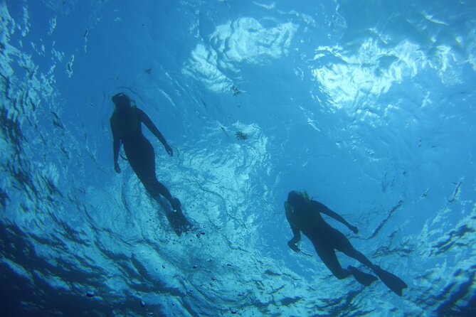 Private Snorkel Charter to the Key Largo Reef for Group up to 10 - Booking Policies and Reviews