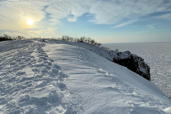 Private Snow Shoe Tour in Shiretoko National Park - Pricing Details