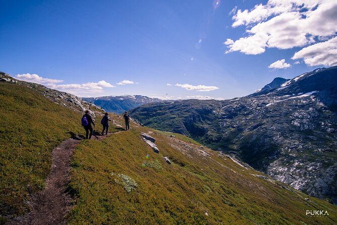 Private Tesla X Fjord Hiking - Booking and Confirmation Details