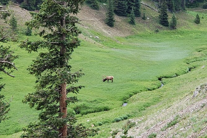 Private Three Hour Afternoon Custom Tour of Rocky Mountain National Park - Transportation Details