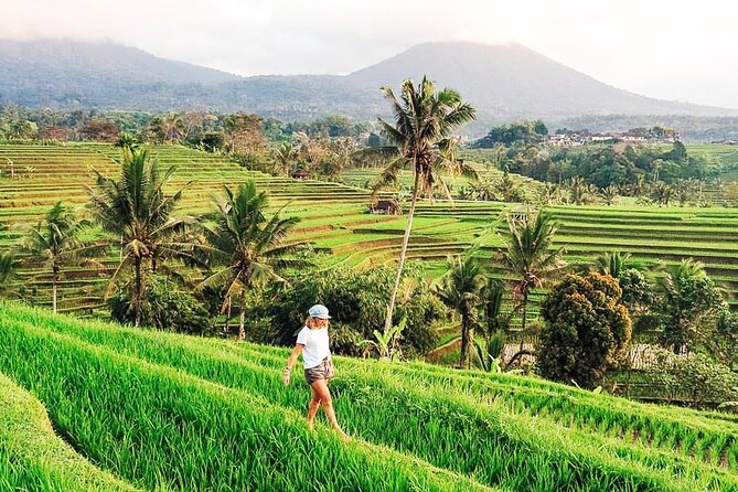 Private Tour: Bali UNESCO World Heritage Sites - Tour Inclusions