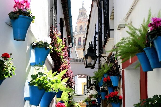 Private Tour: Cordoba Day Trip From Granada - Cancellation Policy Details