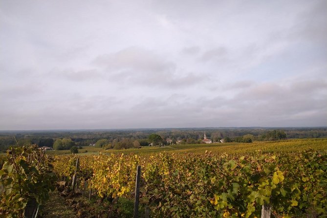 Private Tour in the Sauternes Wine Region - Discover Bordeaux Sweet Crus Classés - Booking and Cancellation Policy