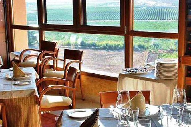 PRIVATE TOUR -Madrid Wineries Day Tou With Hotel Pickup and Lunch - Tour Guide Expertise