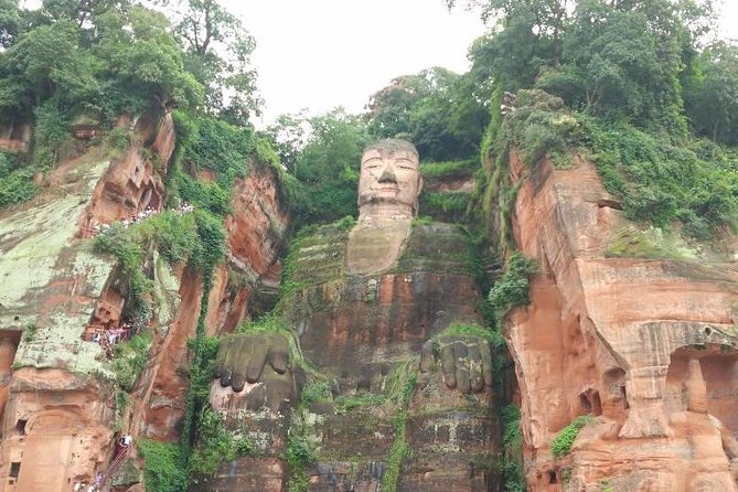 Private Tour of Chengdu Panda Center and Leshan Giant Buddha - Customer Reviews