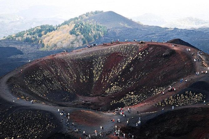 Private Tour of Etna and Winery Visit With Food and Wine Tasting From Taormina - Visitor Reviews