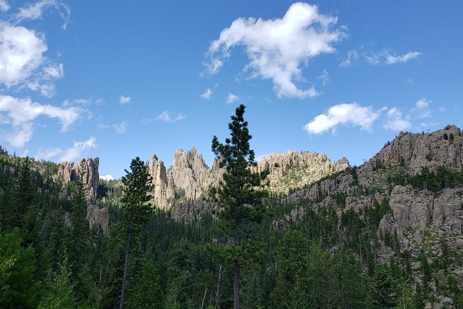 Private Tour of Mount Rushmore, Crazy Horse and Custer State Park - Customer Experiences