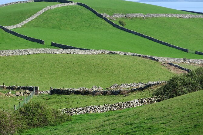 Private Tour of Newgrange and The Hill of Tara - Contact and Additional Information