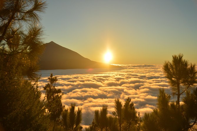 PRIVATE TOUR Teide National Park: Hiking and Stargazing - Common questions