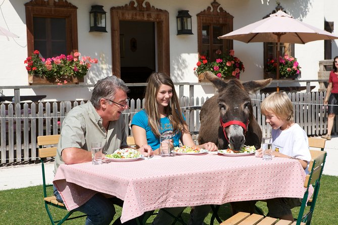 Private Tour to Aiderbichl Animal Welfare Centre From Salzburg - Family-Friendly Visit to Animal Sanctuary