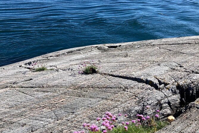 Private Tour to Atlantic Road From Ålesund Groups 1 to 40 - Language Options and Scenic Focus