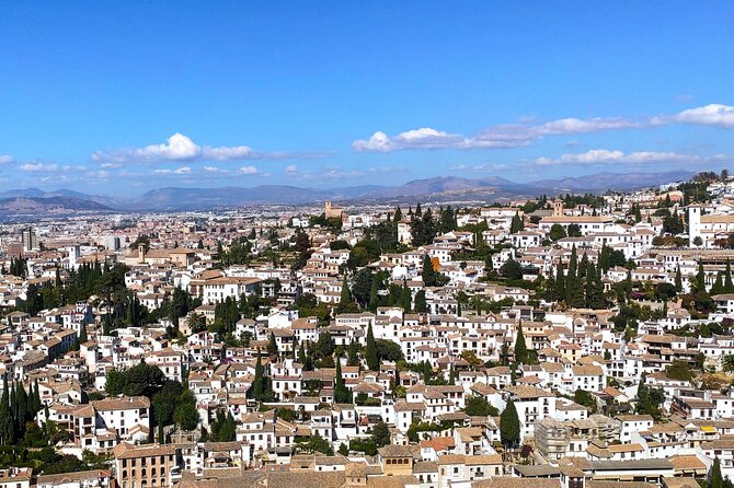 Private Tour to Granada From Seville With Visit to the Alhambra - Inclusions, Customization, and Meeting Point Details