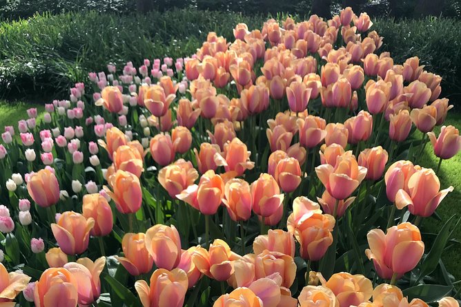 Private Tour to the Keukenhof - Pricing and Additional Information