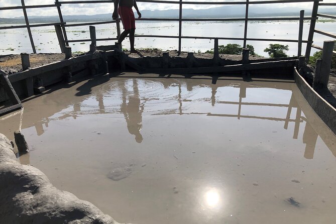 Private Tour to the Mud Volcano - Customer Satisfaction and Unique Experiences