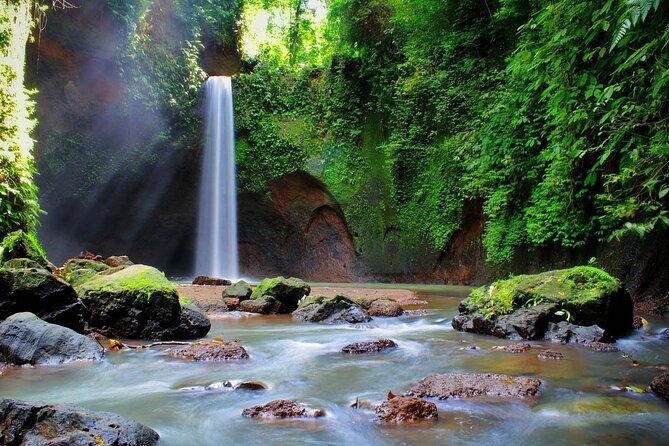 Private Tour to Tibumana Waterfall, Rice Terraces & Jungle Swing - Itinerary Details