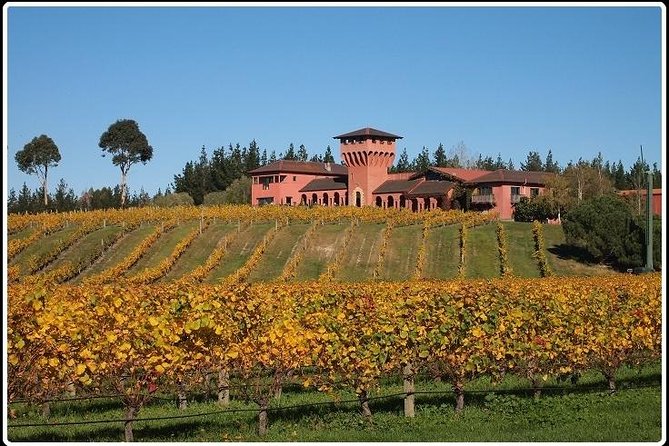 Private Tour: Winter Wine and Scenic Delights Tour From Picton - Additional Information