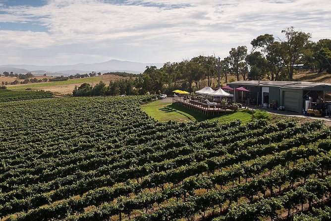 Private Tour: Yarra Valley Wineries With Wine Tastings - Cellar Door Tastings