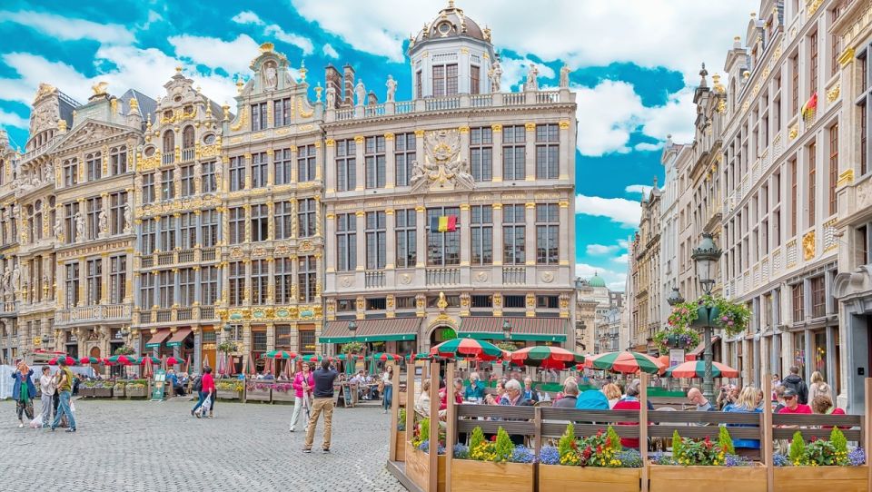 Private Transfer From Amsterdam to Brussels - Driver and Vehicle Information