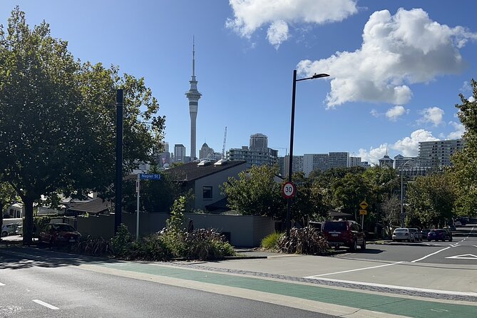 Private Transfer From Auckland City To Auckland Airport - Infants and Wheelchair Accessibility