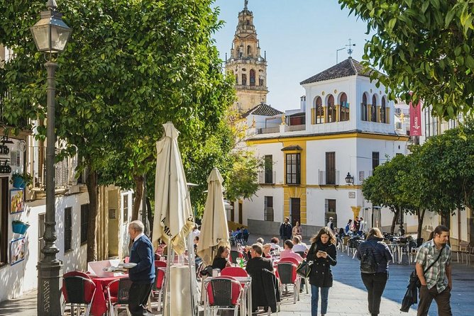 Private Transfer From Seville to Granada With Tour of Cordoba - Customer Reviews