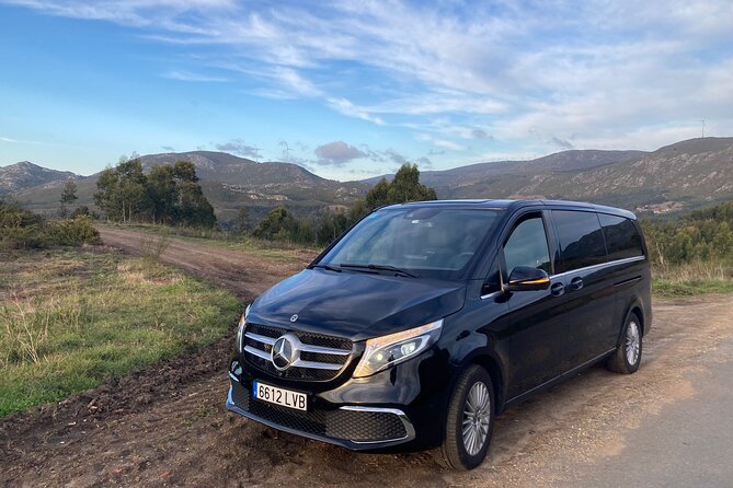 Private Transportation From Granada City to Malaga Airport - Reviews Insights