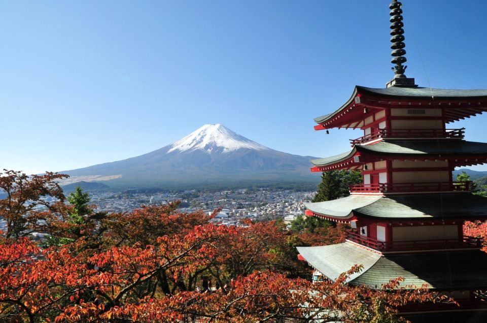 Private Transportation MT Fuji and Hakone Full Day Trip - Inclusions