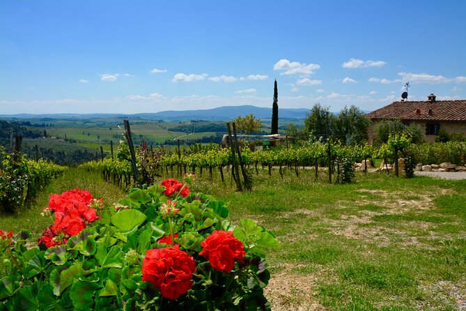 Private Tuscany Day Tour: San Gimignano and Chianti Wine Region From Florence - Customer Feedback