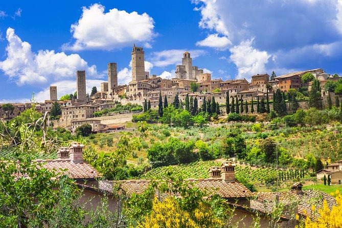 Private Tuscany Tour: Siena, Pisa and San Gimignano From Florence - Tour Guide Praise