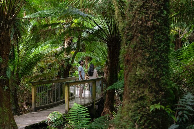 Private Two Day Great Ocean Road Tour - Transportation Information