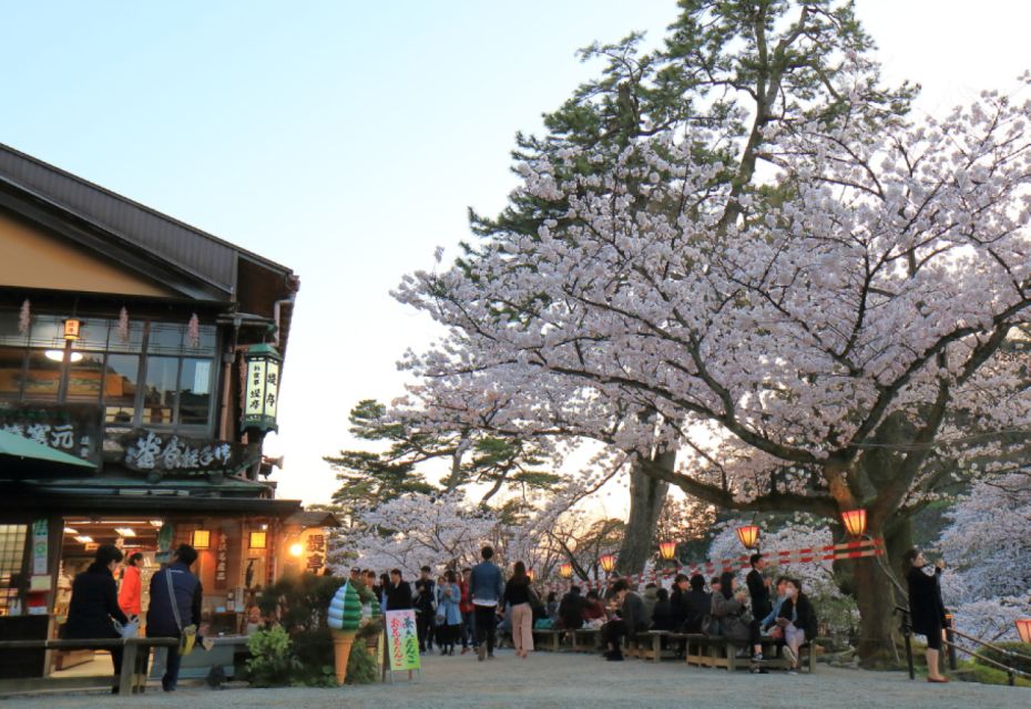 Private & Unique Kanazawa Cherry Blossom "Sakura" Experience - Additional Information