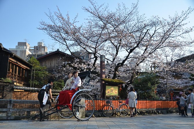 Private & Unique Kyoto Cherry Blossom "Sakura" Experience - Pricing Details