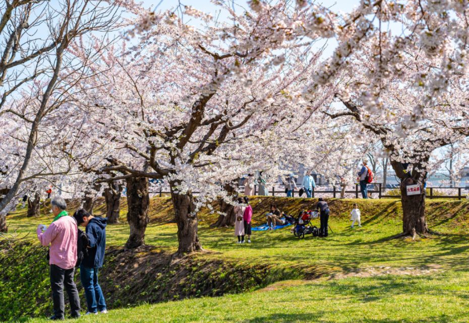Private & Unique Nagasaki Cherry Blossom "Sakura" Experience - Full Description of Experience