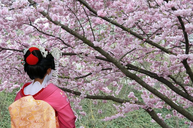 Private & Unique Tokyo Cherry Blossom "Sakura" Experience - Customer Feedback