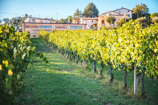 Private Visit to the Brugnoni Winery With Tasting of 4 Wines - Additional Information