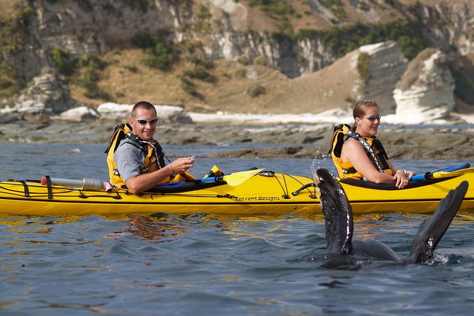 Private Wildlife Kayaking Tour - Kaikoura - Confirmation and Accessibility