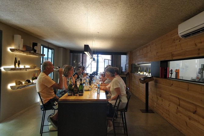 Private Wine & Cava Tasting Tour in Penedés Region With Hotel Pick up - Pricing Details