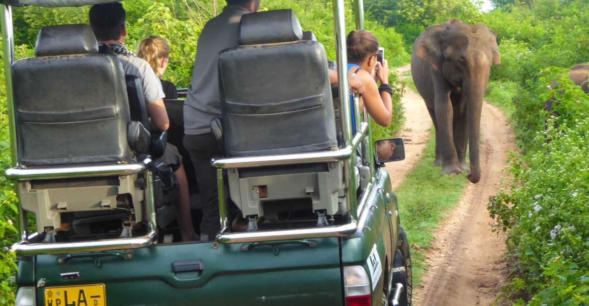 Private Yala National Park Safari Full Day Tour With Lunch - Highlights of the Safari Tour