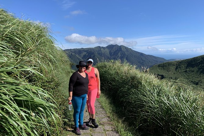 Private Yangmingshan Volcano Tour - Guide Insights