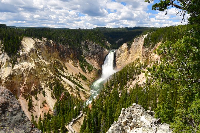 Private Yellowstone Tour: ICONIC Sites, Wildlife, Family Friendly Hikes Lunch - Customer Feedback and Reviews