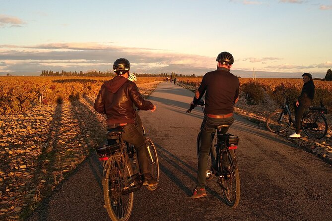 Provence and Wine Tasting by E-Bike From Saint-Rémy-De-Provence - Cancellation Policy