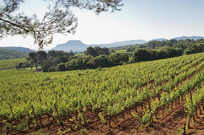 Provence Wine Tour - Private Day Tour From Cannes - Host Responses and Tour Highlights